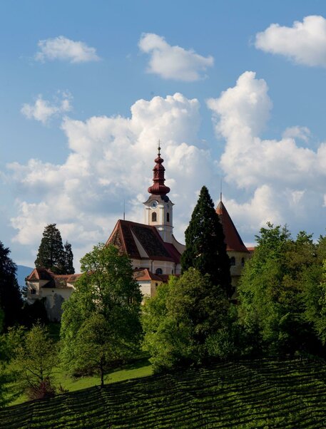 Schloss Hollenegg1 | © Schloss Hollenegg