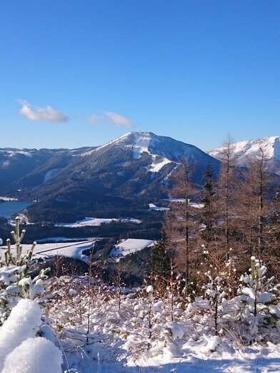 Ausblick von der Mariazeller Bürgeralpe | © TV Hochsteiermark | Brigitte Digruber | © TV Hochsteiermark | Brigitte Digruber