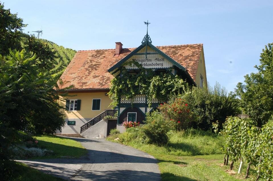 Stadtweingut - Impression #1 | © Stadtgemeinde Deutschlandsberg