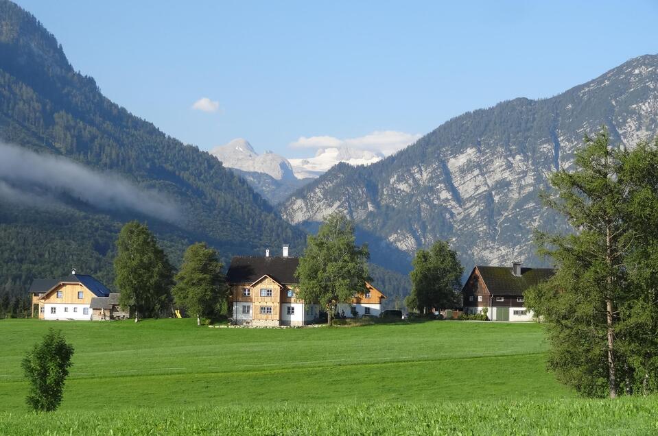 Stanglhof - Impression #1 | © Stanglhof, Familie Schönauer, Waldauer