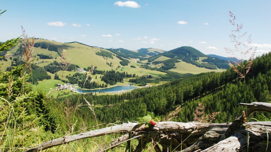 Teichalmsee_Almenland_Foto Berghofer | © Naturpark Almenland