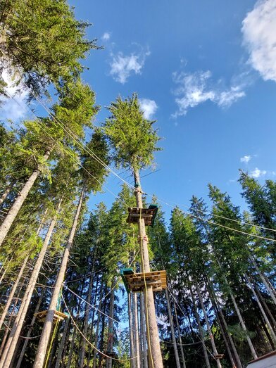 Hoch hinaus im Waldseilgarten Erlaufsee | © TV Hochsteiermark | Brigitte Digruber | © TV Hochsteiermark | Brigitte Digruber