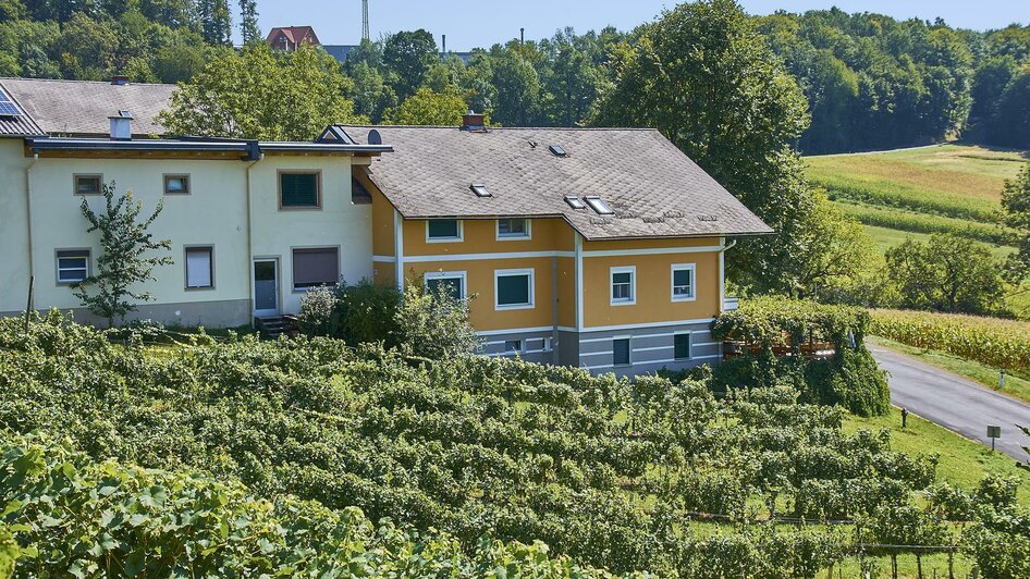 Buschenschank Pfeifer - Fredis Kellerstub'n | © Edgar Strasser