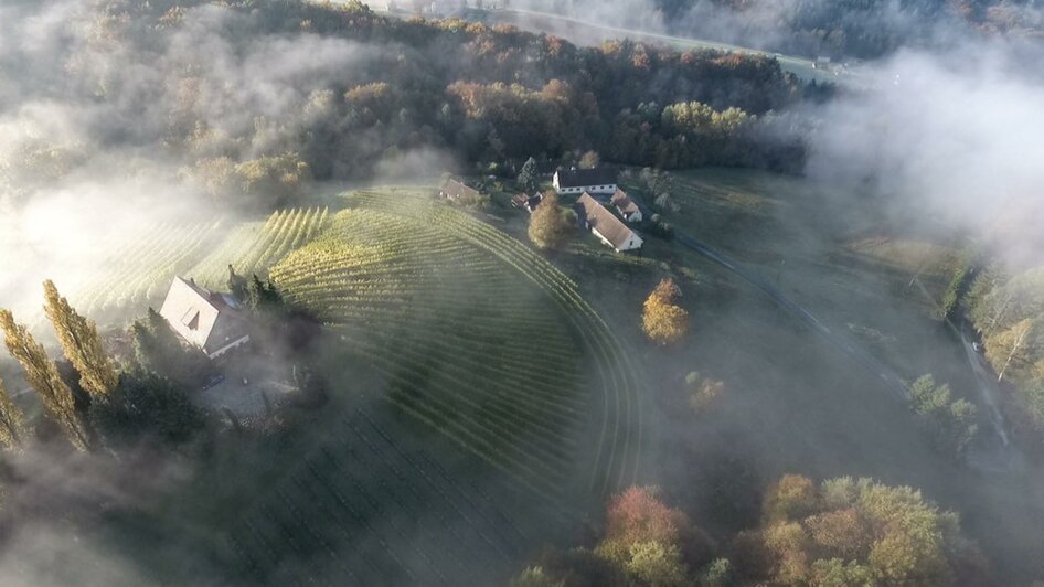 Weingut Melcher Sernauberg_1 | © Weingut Melcher