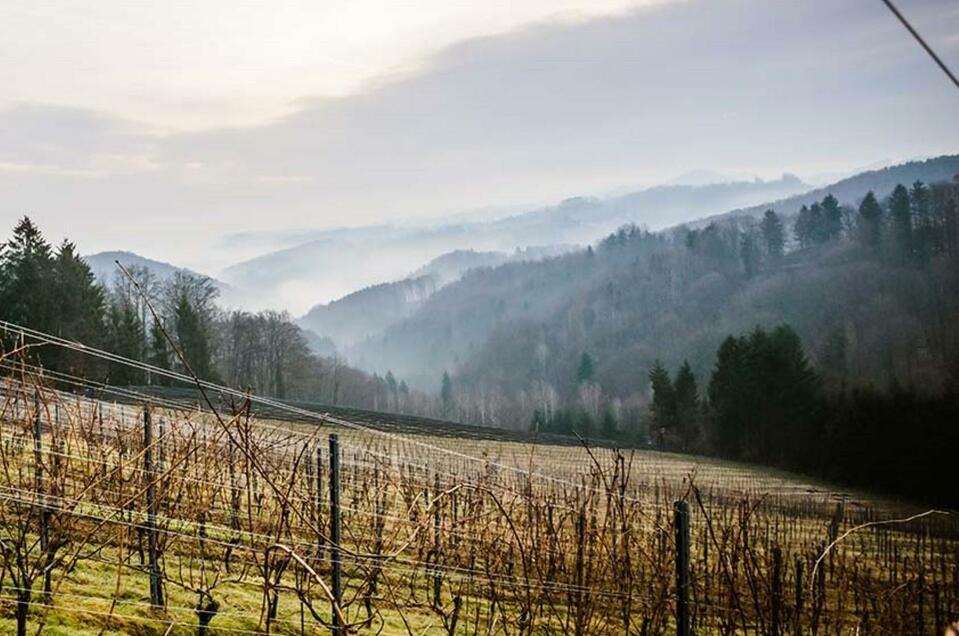 Weingut Peter Skoff - Domäne Kranachberg - Impression #1 | © Peter Skoff