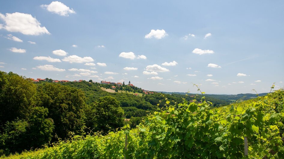 Weingut Pfeifer | © Uli Korntheuer