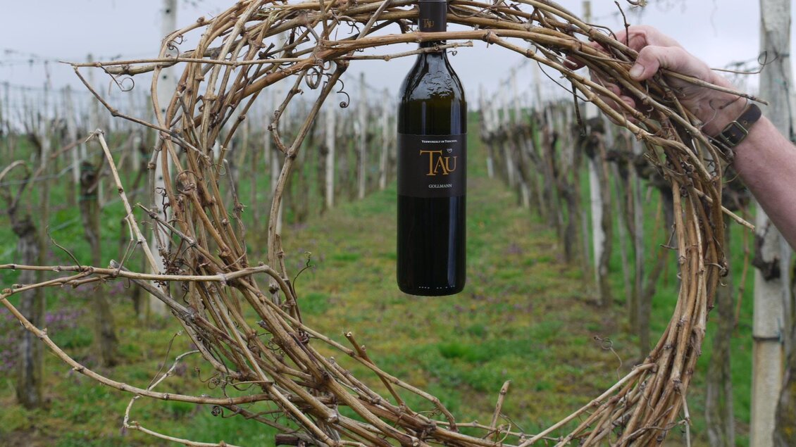 Wein 1 | © Fam. Gollmann