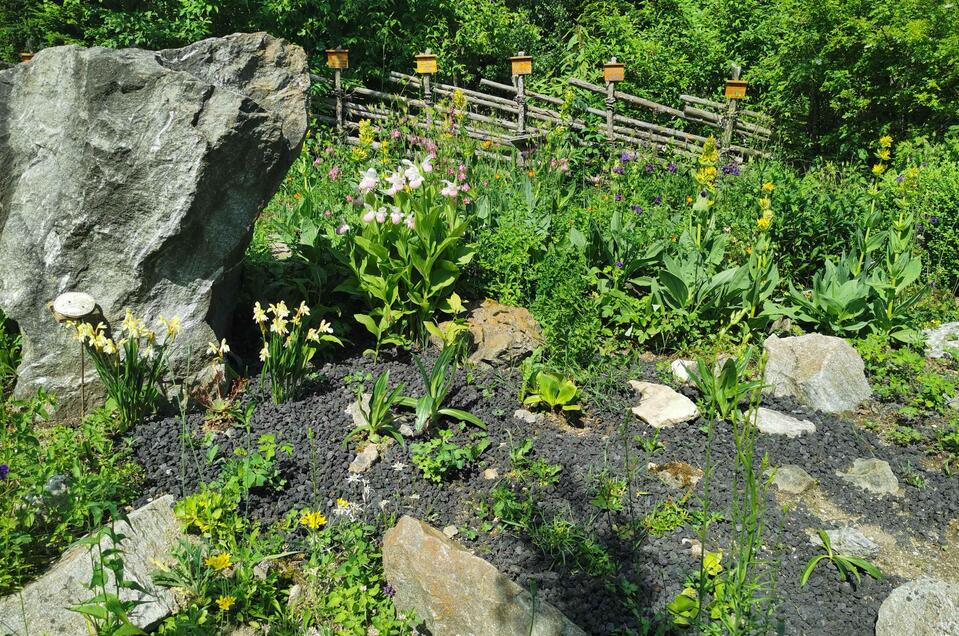 Alpenkräutergarten Käfer_Pflanzen_Oststeiermark | © Alpenkräutergarten Käfer