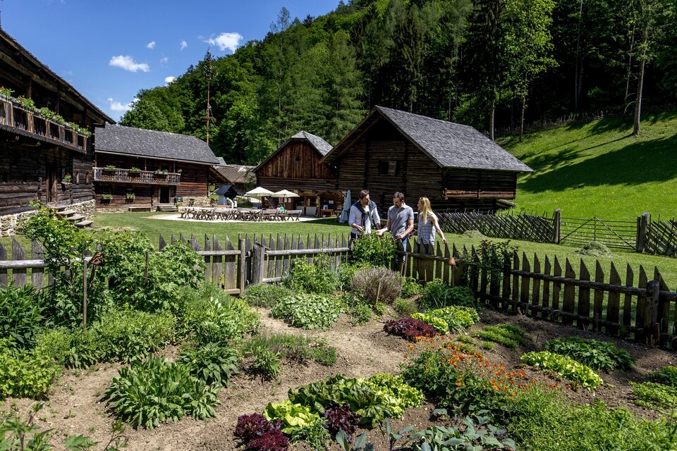 Bauerngarten von einst mit Gemüse und Kräuter im Freilichtmuseum Stübing, drei Personen stehen am Holz-Gartenzaun.  | © Region Graz-Tom Lamm