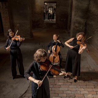 Chaos String Quartet | © Davide Bertuccio