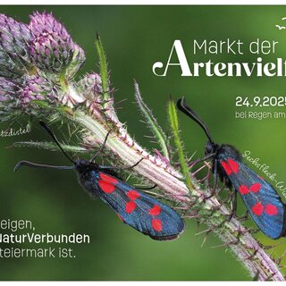 Save-the-Date | © Helwig Brunner / ÖKOTEAM