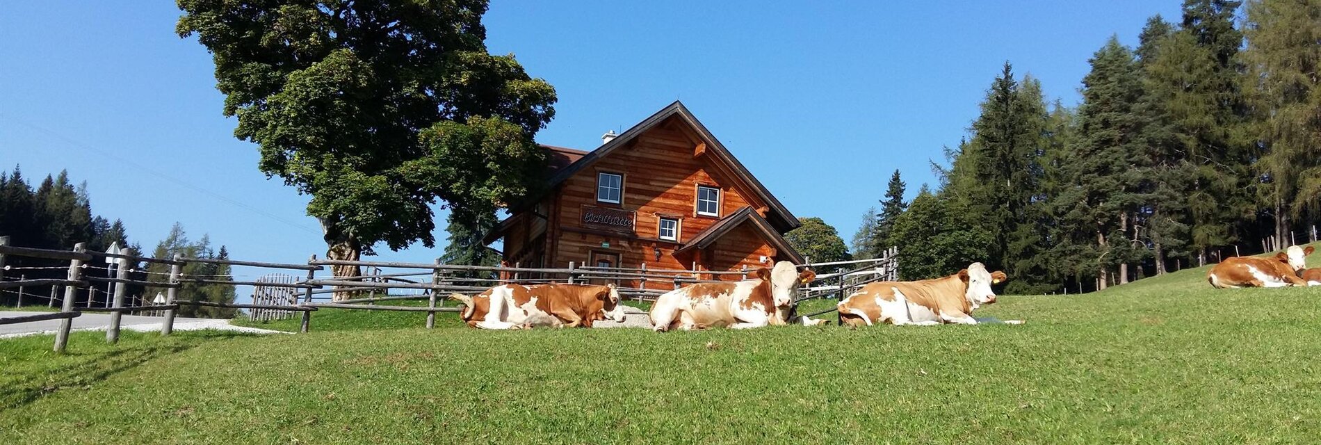 Sommer Bichlhütte