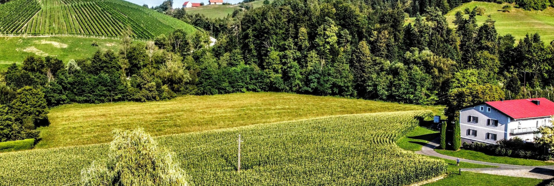 dji_fly_20240806_171944_475_1722957942564_photo_op