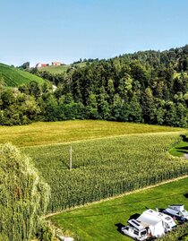 dji_fly_20240806_171944_475_1722957942564_photo_op