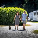 Bild von Komfortstellplatz Wiese - 2 bis 6 Pers. | © Camping Murinsel
