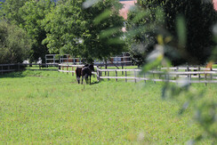 CampingMurinsel-Stellplatz-Murtal-Steiermark
