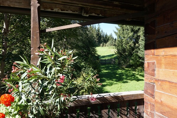 Blick vom Balkon in unseren Wald | © Sepp Göldner
