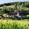 Bild 013