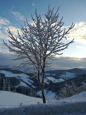 Winterwunderland Gasen