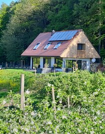 Ansicht Haus mit Obstgarten