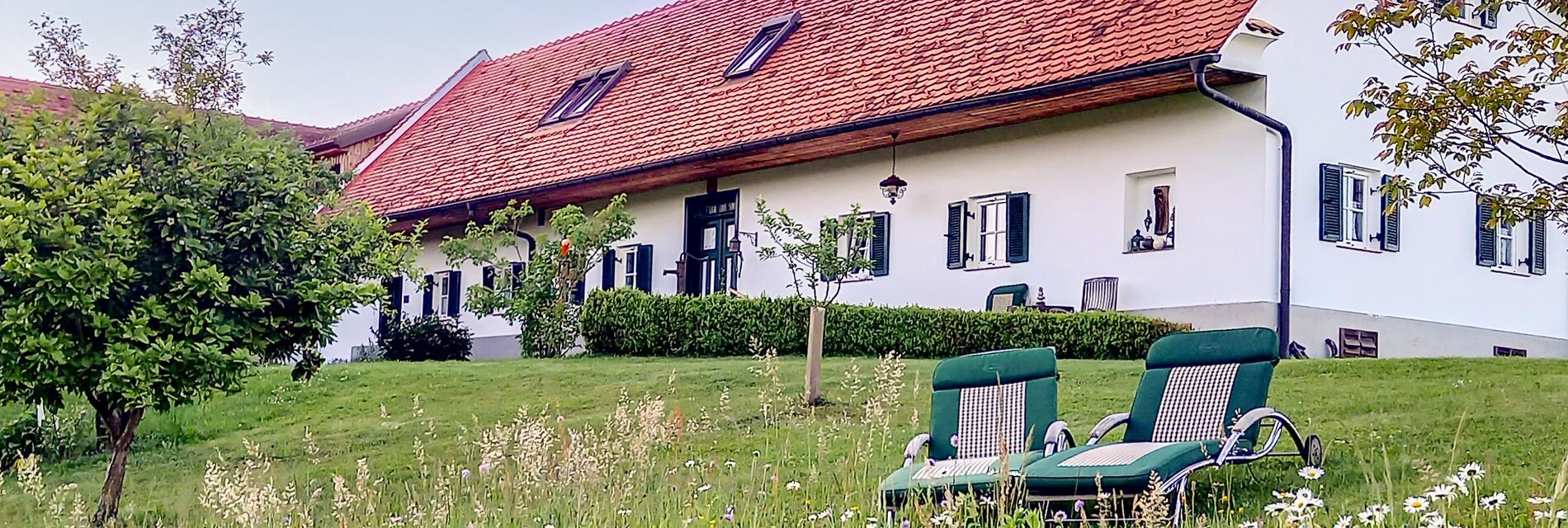 Sommerwiese mit Sonnenliegen