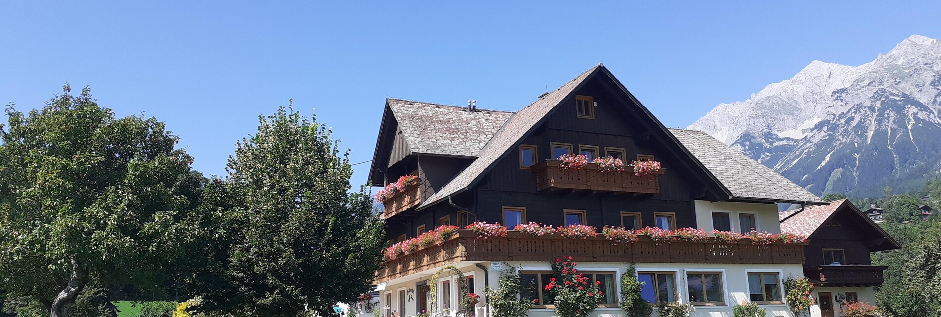 Trillerhof - Ramsau am Dachstein