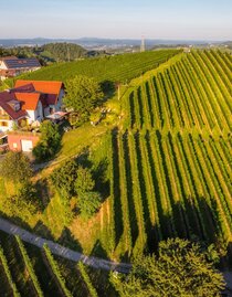 DJI_0044_AuroraHDR-edit