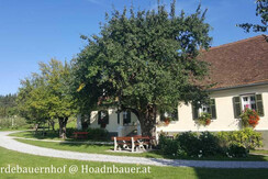 Haus 1