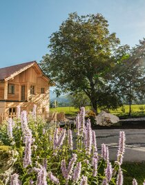 Sommertag am Spitzenhof | © Thomas Sattler | © Thomas Sattler