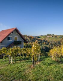 Ferienhaus Weingut Perner | © Ferienhaus Weingut Perner | © Ferienhaus Weingut Perner