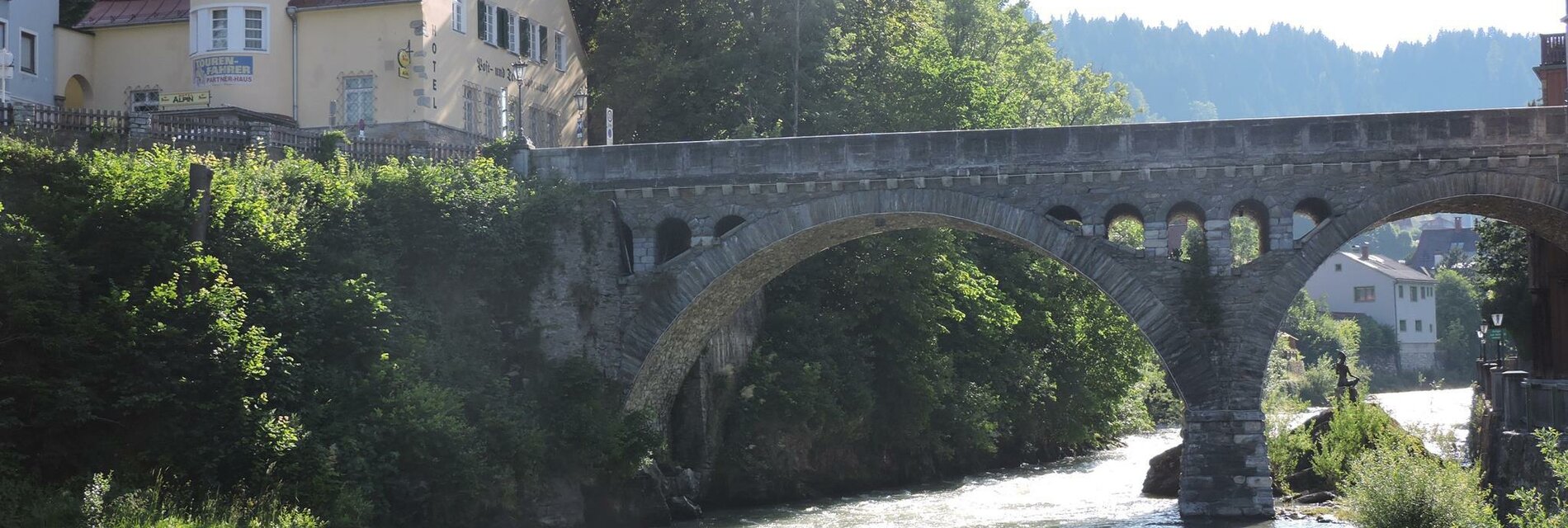 Hotel Alpin mit der Brücke