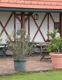 Ansicht Weinlokal | © Weingut Albert | © Weingut Albert