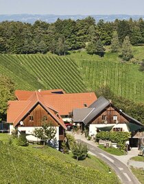 Weingut Peter Skoff_ | © Weingut Peter Skoff | © Weingut Peter Skoff