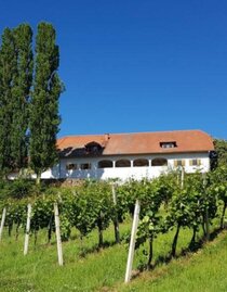 Weingut Lindenburg | © Weingut Lindenburg | Gertraud Stelzl | © Weingut Lindenburg | Gertraud Stelzl