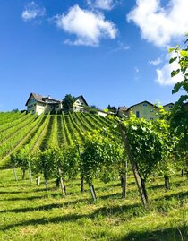 Weingut Wieser | © Weingut Wieser | Nadine Wieser | © Weingut Wieser | Nadine Wieser