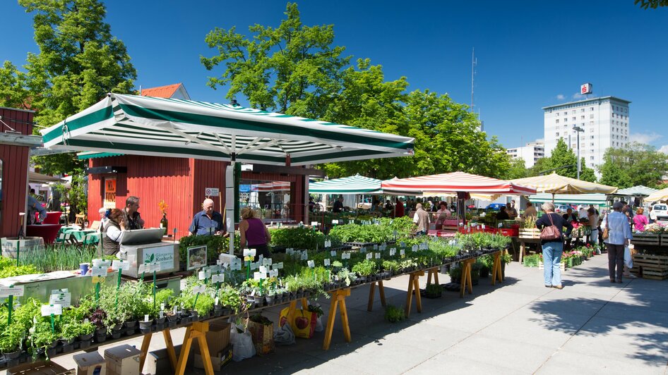 Markt am Lendplatz