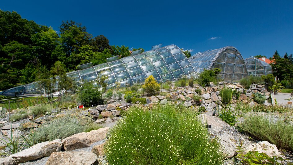 Botanischer Garten | © Graz Tourismus - Harry Schiffer