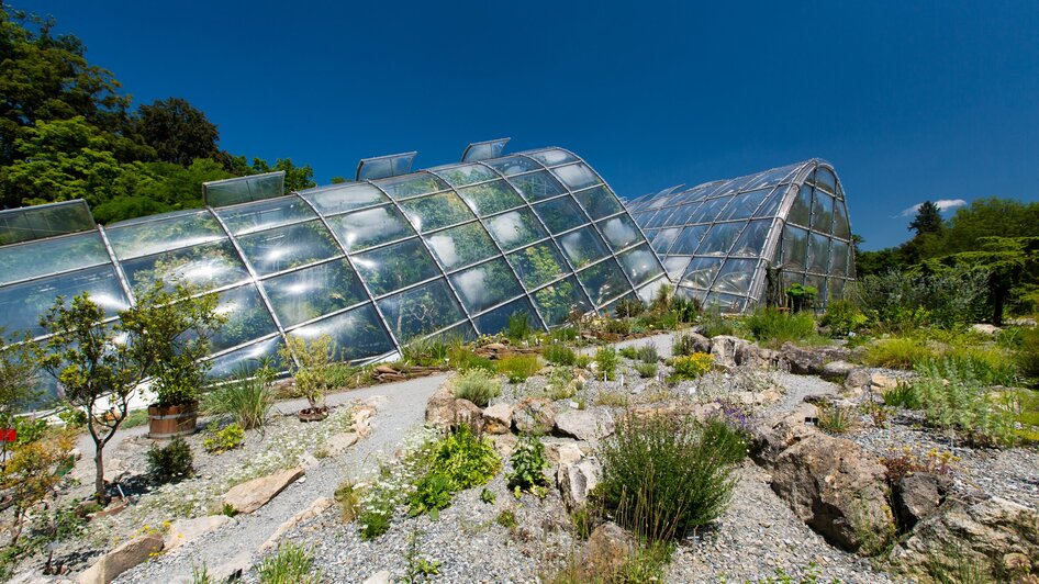 Botanischer Garten | © Graz Tourismus - Harry Schiffer