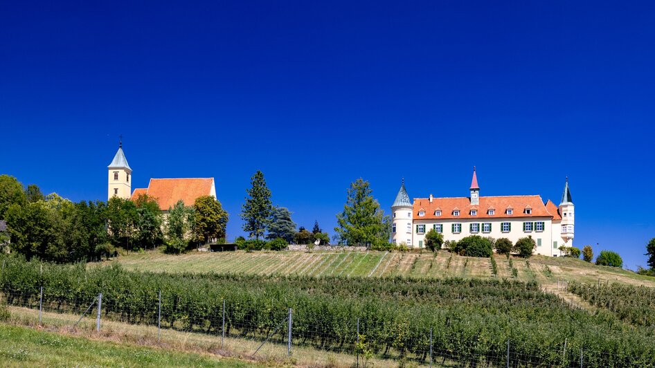 Ein Schloss und eine Kirche umgeben von Weinbergen und blauem Himmel. | © Graz Tourismus - Harry Schiffer