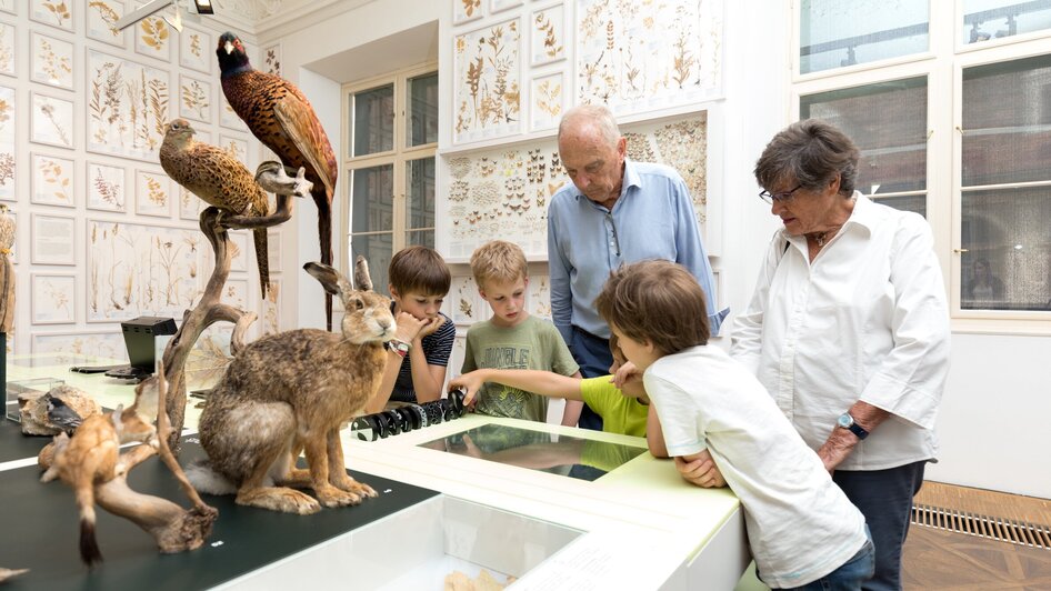 Joanneumsviertel I Naturkundemuseum Graz | © UMJ - Harry Schiffer