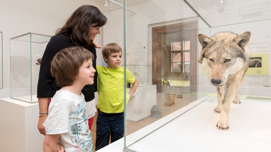 Joanneumsviertel I Naturkundemuseum Graz | © UMJ - Harry Schiffer