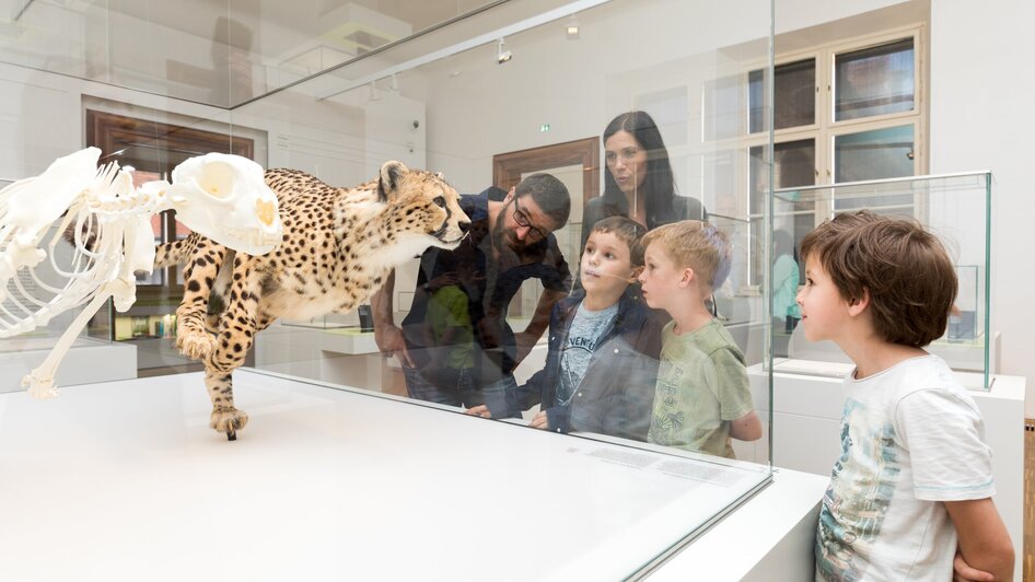 Joanneumsviertel I Naturkundemuseum Graz | © UMJ - Harry Schiffer