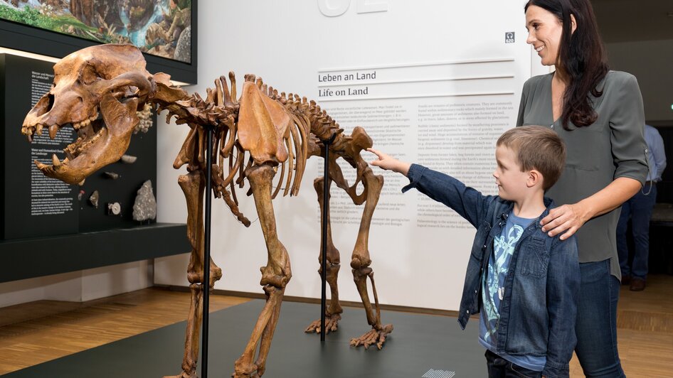 Naturkundemusem im Grazer Joanneumsviertel | © Harry Schiffer