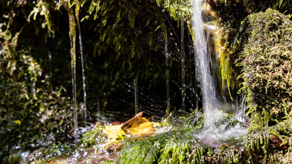 Wanderung für alle Sinne - Rettenbachklamm | © Graz Tourismus - Harry Schiffer