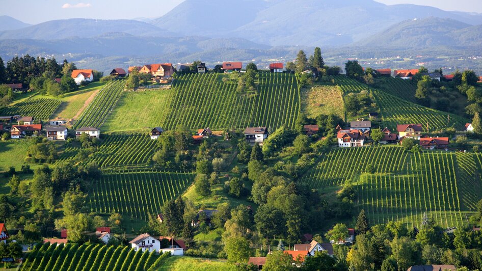 Schilcherweinstraße