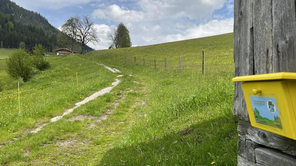 Familienabenteuerwanderung - Impressionen #2.5