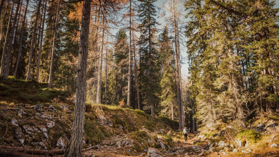 Geführte Notgassenwanderung - Impressionen #2.1 | © Christoph Huber