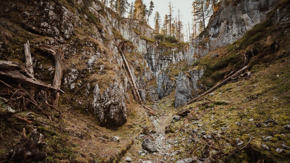 Geführte Notgassenwanderung - Impressionen #2.4 | © Christoph Huber
