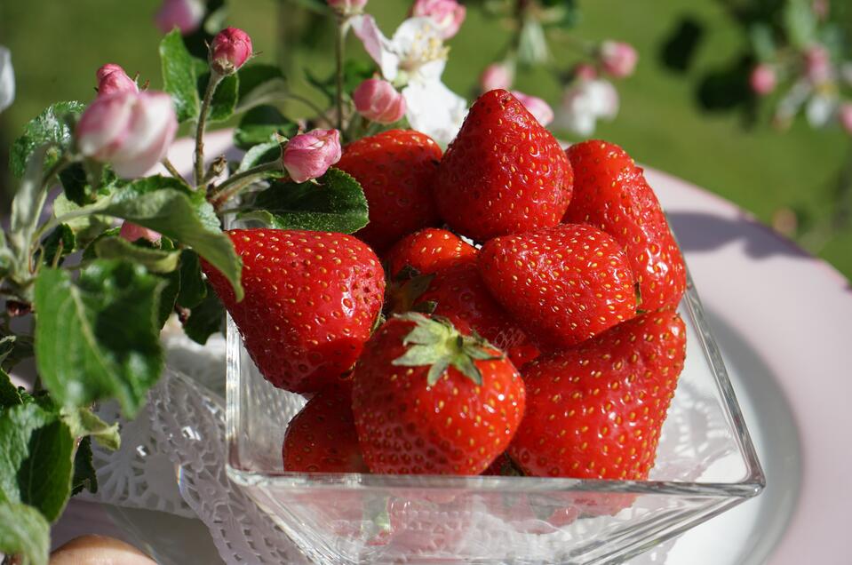Genusstag  "Erdbeeren" - Impression #1 | © Erdbeeren | Marianne Gruber
