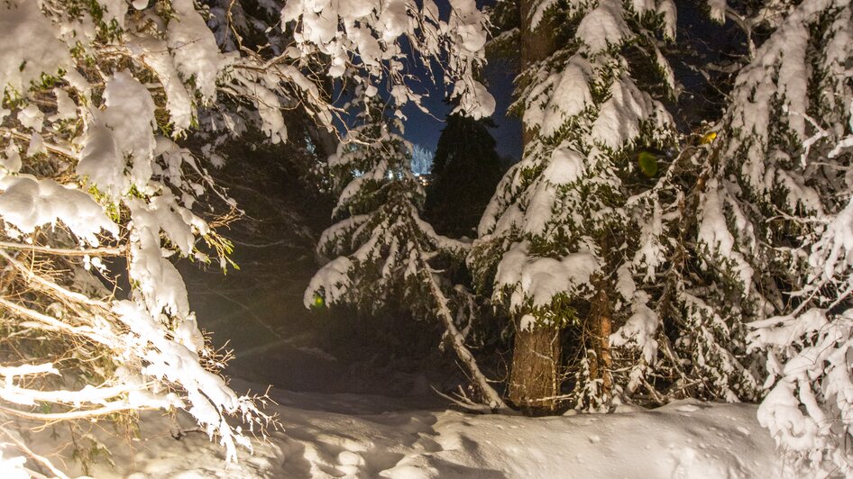 Mühlen Advent in Ramsau am Dachstein | © Michael Simonlehner